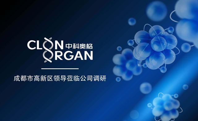  成都市高新区领导莅临公司调研