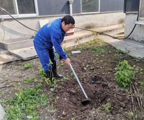 内江基地的植树节