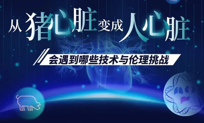 潘登科博士受邀深究科学和生物世界等平台主办的“把猪心脏“变”成人心脏，会遇到哪些技术与伦理挑战”直播活动