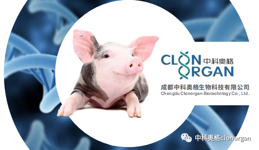 潘登科研究员特约国际异种器官移植领军人物David Cooper教授参加2023中国研究型医院学会异种移植论坛,预祝会议顺利召开