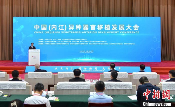 海内外专家齐聚四川内江 共同探讨异种器官移植临床之路