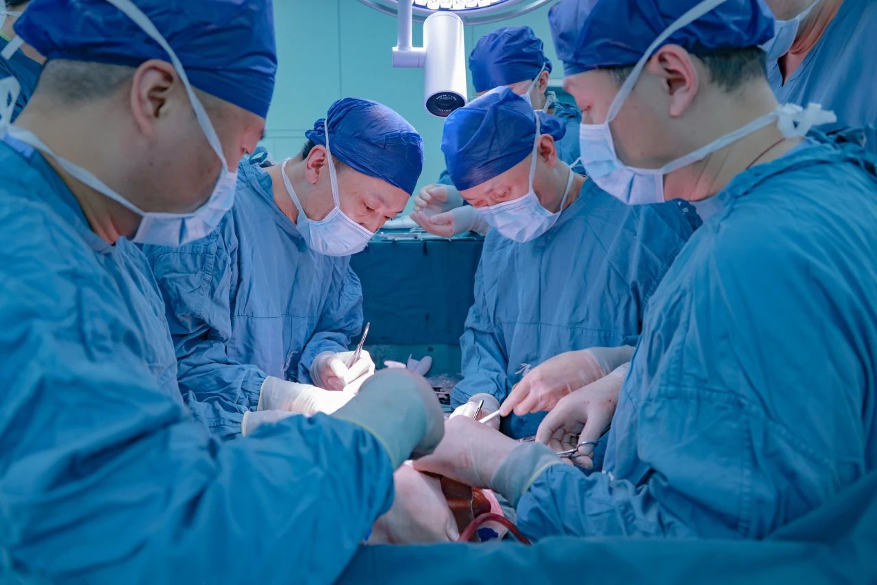 里程碑!人类异种肝移植走向临床迈出关键一步