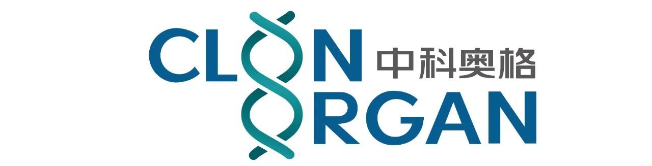 异种移植同行eGenesis完成近2亿美元融资，助力研发和临床试验