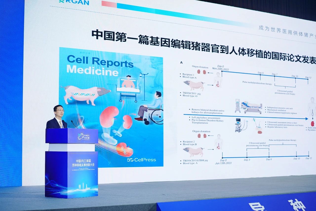 基因编辑猪肾在猴体“生命奇迹”,创造中国180天“续航”新纪录