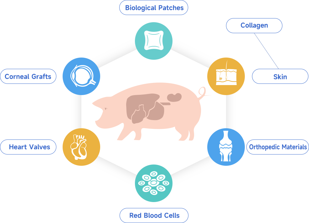 Low-immunogenicity Biomaterials