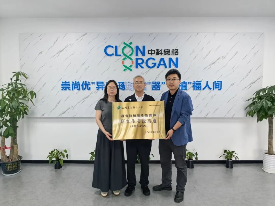 中科奥格携手西北农林科技大学共建器官移植猪生物育种研究生实践基地，校企合作谱新篇