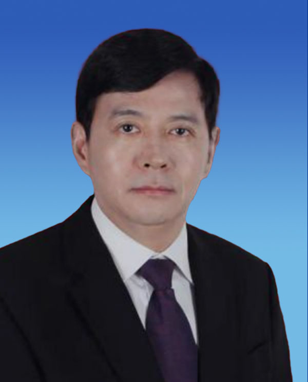 王毅 教授