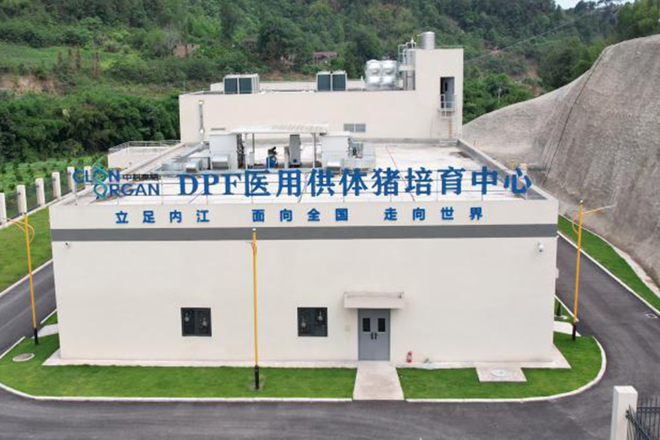 中国异种移植领军企业