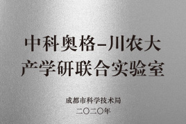 资质证书