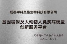 资质证书
