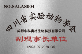 资质证书
