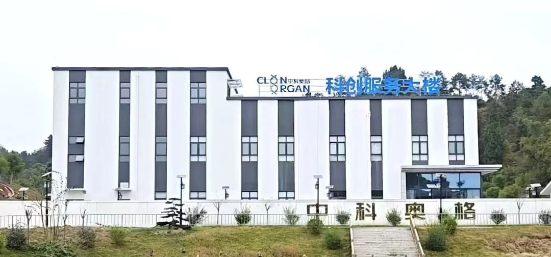 走上临床！2025中科奥格大事记